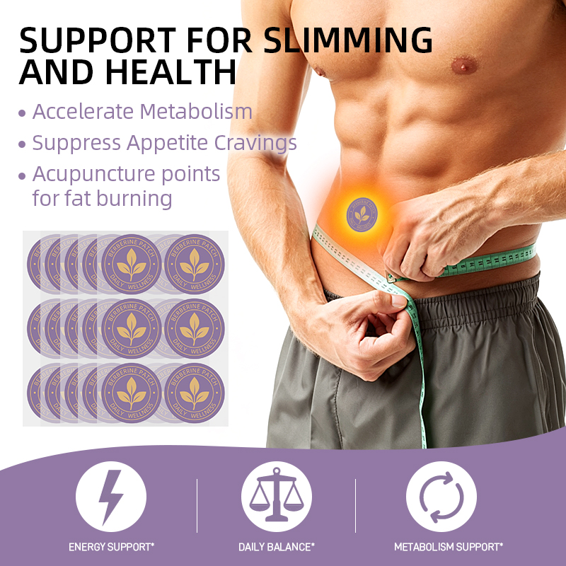 30Pcs=1Bag Fat Burning Patch W - Herbal Weight review and price