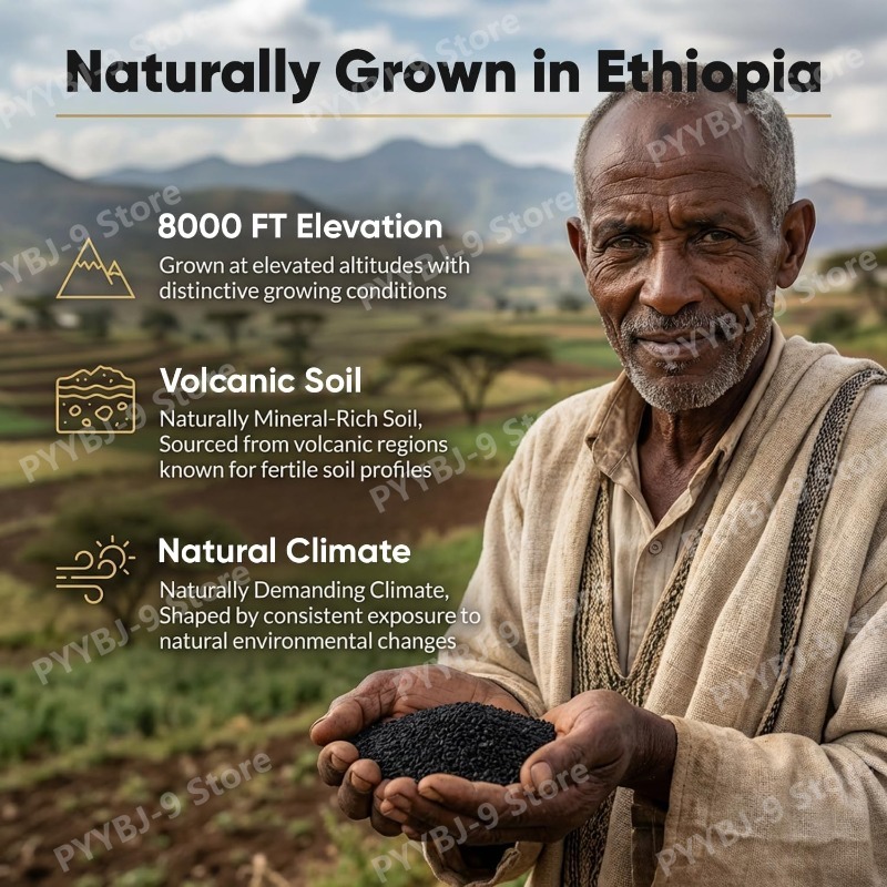 Ethiopian Black Seed Oil Softg - Herbal Wellness In review and price